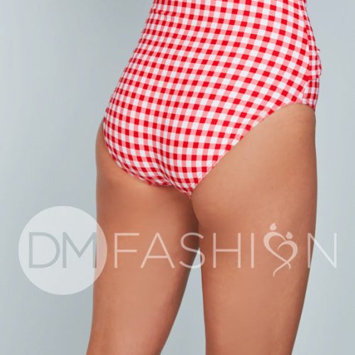 Cherry Red Gingham 3 copy